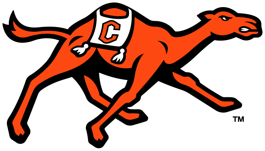 Campbell Fighting Camels 2023-Pres Primary Logo diy iron on heat transfer...